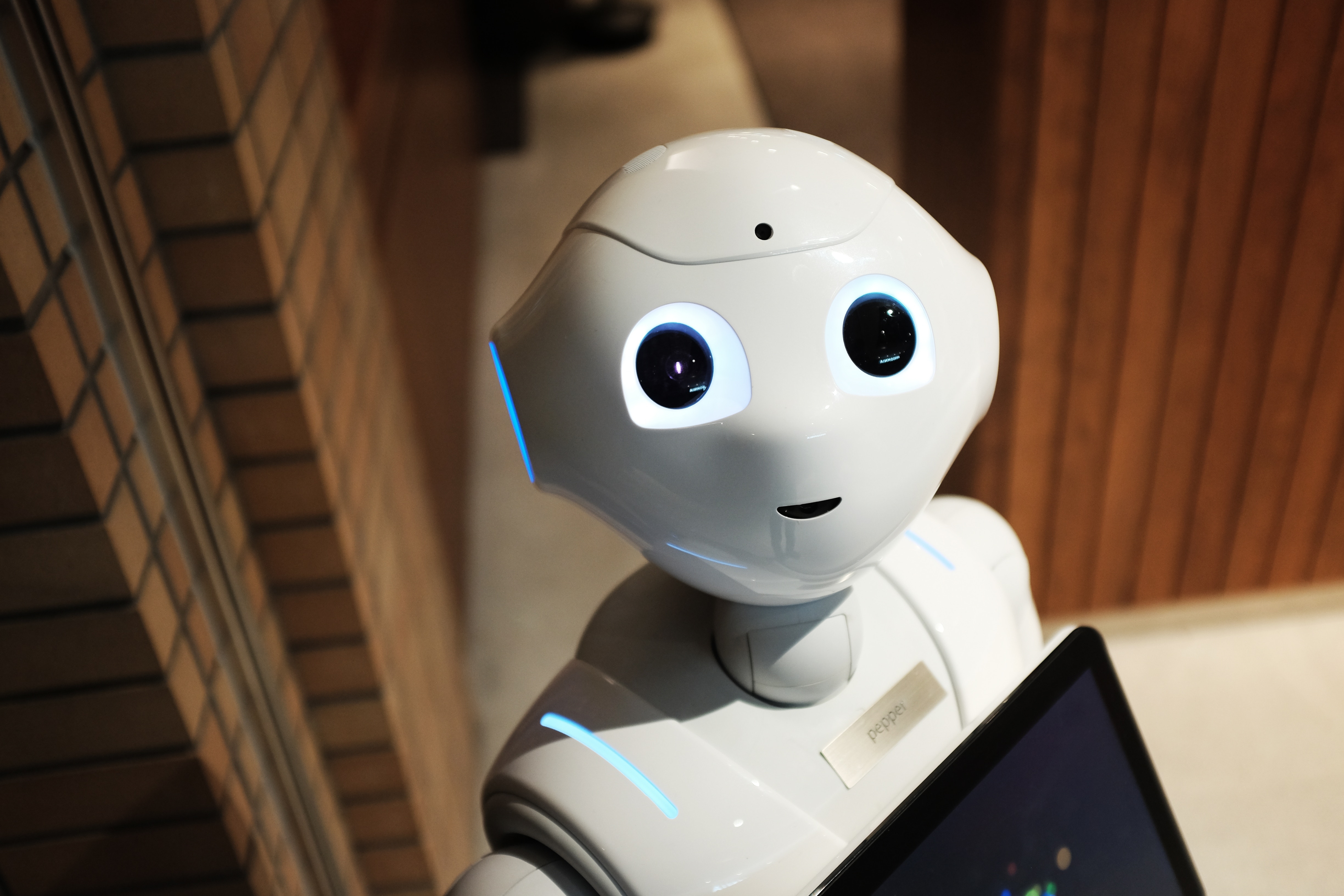 Can Robots Help Grow Your Business?